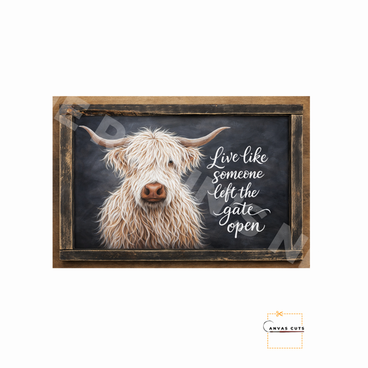White Highland Cow – “Live Like Someone Left the Gate Open”